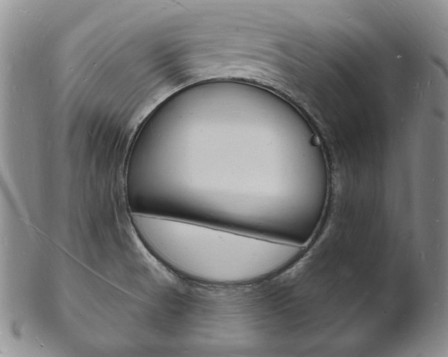 X0000101691521200807101156