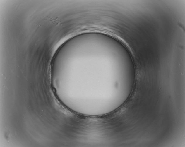 X0000101691522200807101156