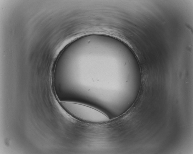 X0000101691523200807101156