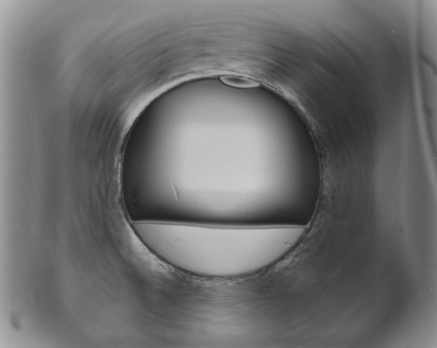 X0000101691524200807101156