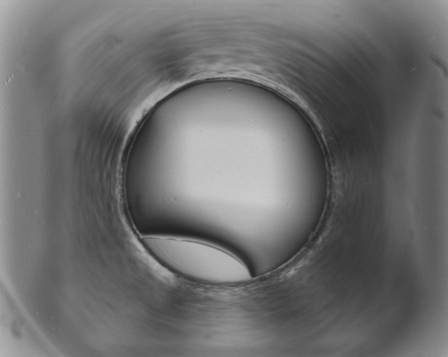 X0000101691525200807101156
