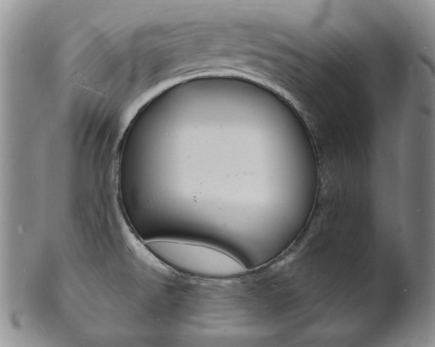 X0000101691526200807101156