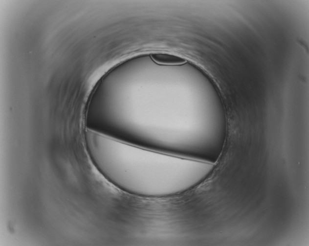 X0000101691527200807101156