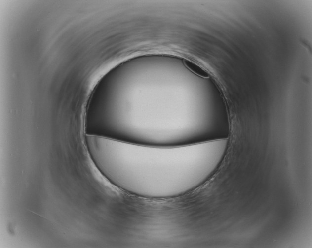 X0000101691528200807101156