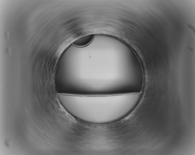 X0000101691529200807101156