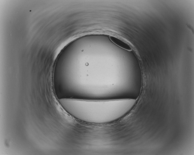 X0000101691530200807101156