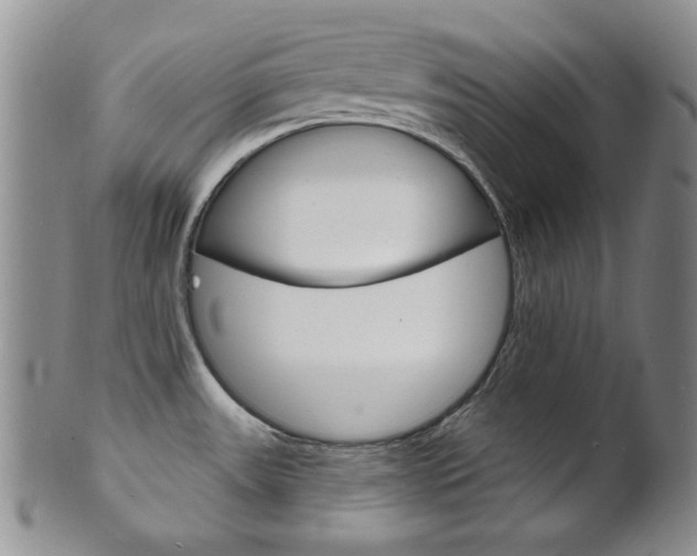 X0000101691531200807101156