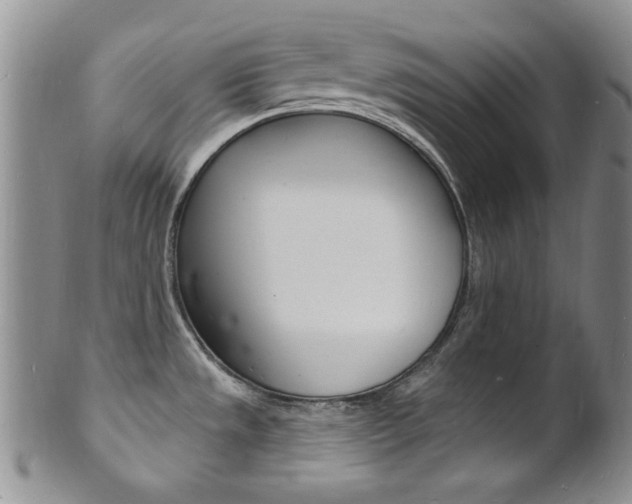 X0000101691533200807101156