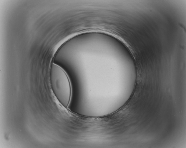 X0000101691534200807101156