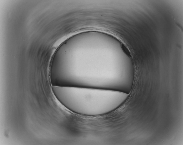 X0000101691535200807101156