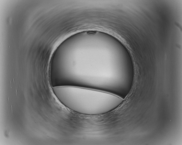 X0000101691536200807101156