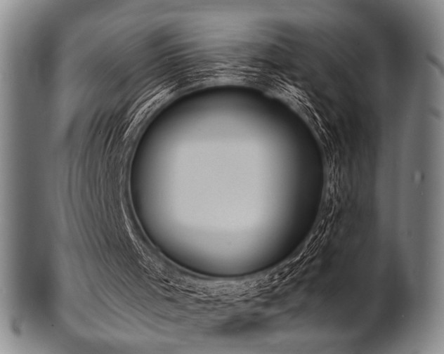 X0000101690001200807101524