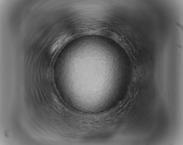 X0000101690002200807101524