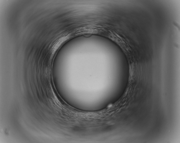 X0000101690003200807101524