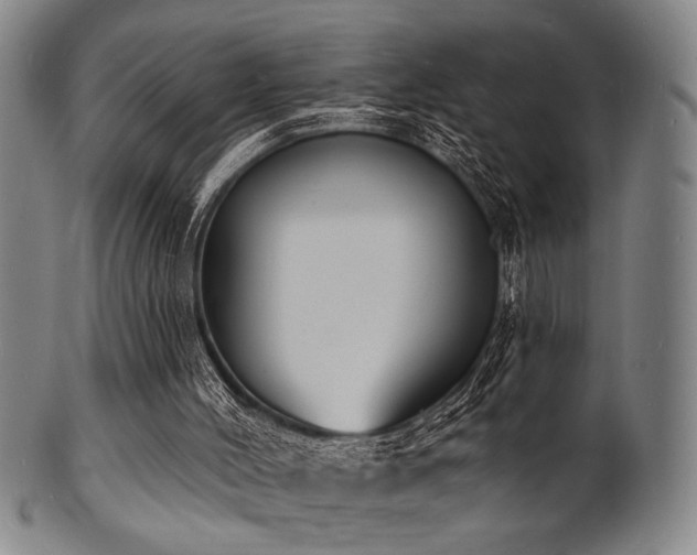 X0000101690004200807101524