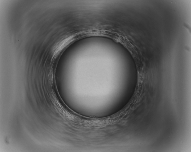 X0000101690005200807101524