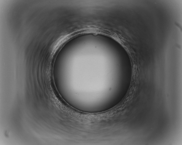 X0000101690007200807101524