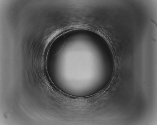 X0000101690008200807101524