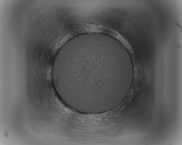 X0000101690009200807101524