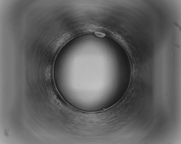 X0000101690010200807101524