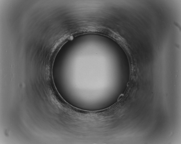 X0000101690012200807101524