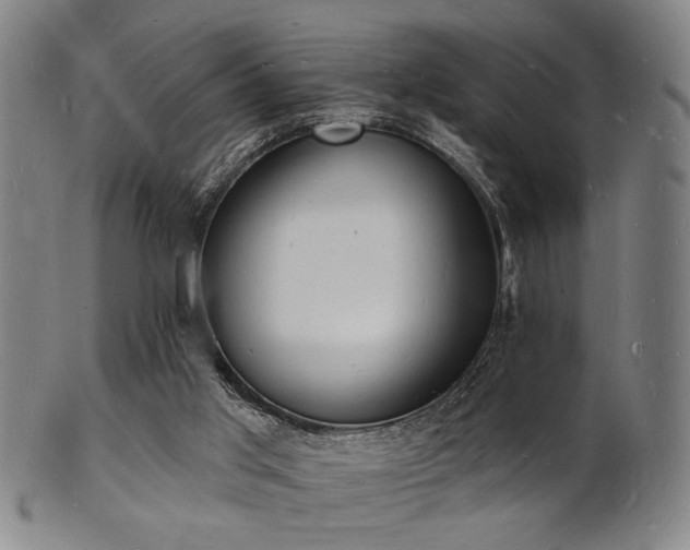 X0000101690013200807101524