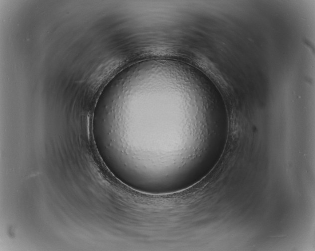 X0000101690014200807101524