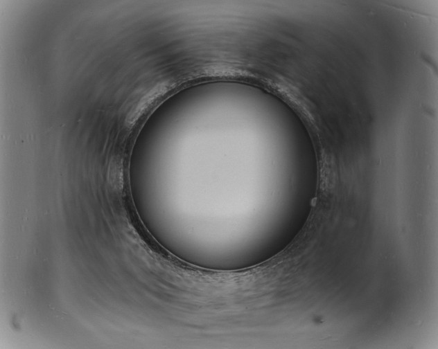 X0000101690015200807101524