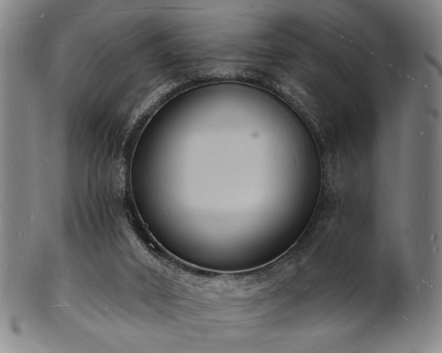 X0000101690016200807101524