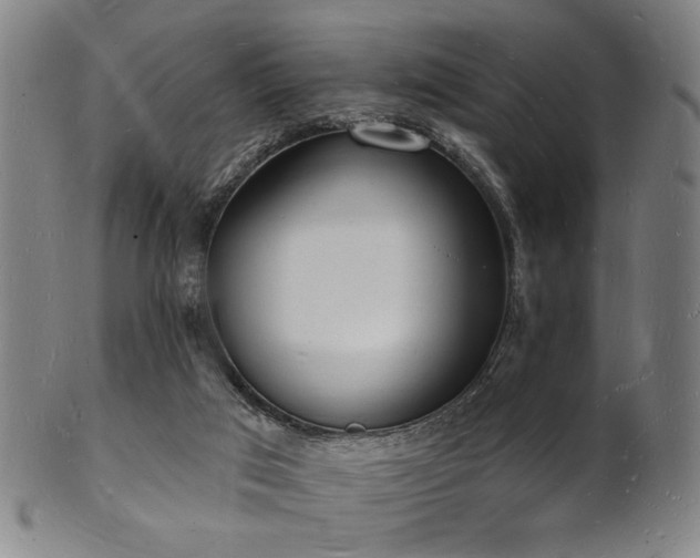 X0000101690017200807101524