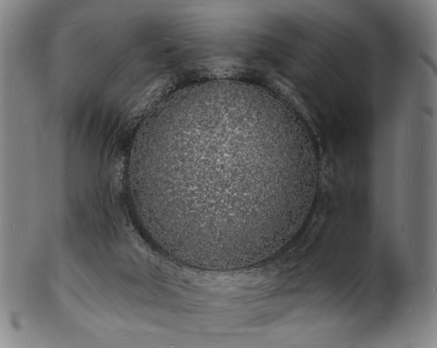 X0000101690018200807101524