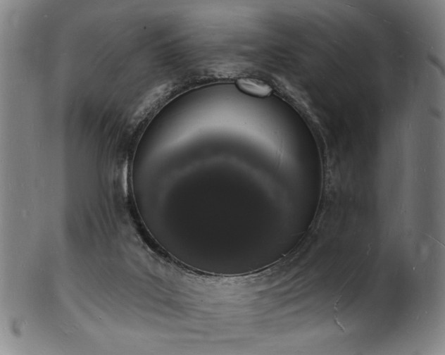 X0000101690019200807101524