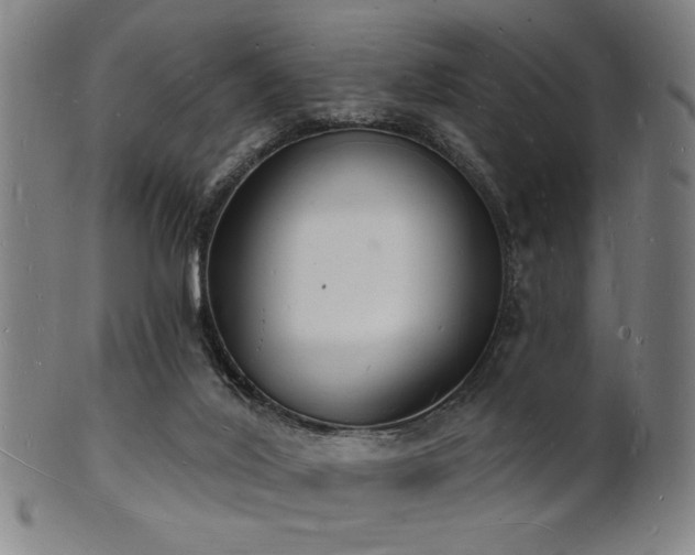 X0000101690020200807101524