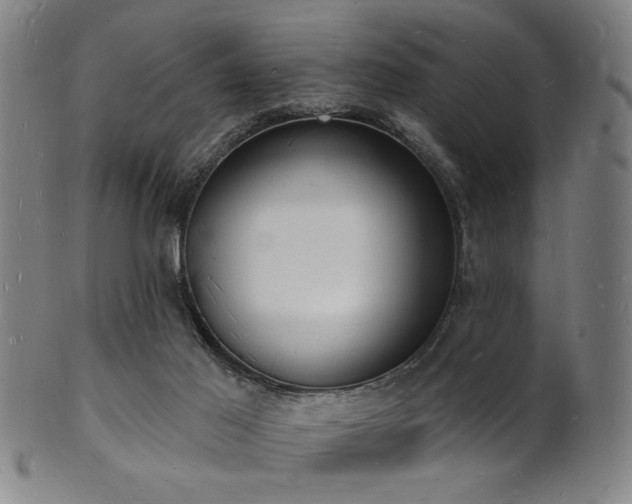 X0000101690021200807101524