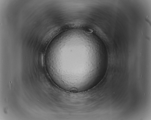 X0000101690022200807101524