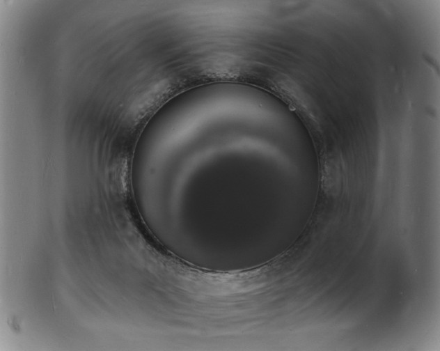 X0000101690023200807101524