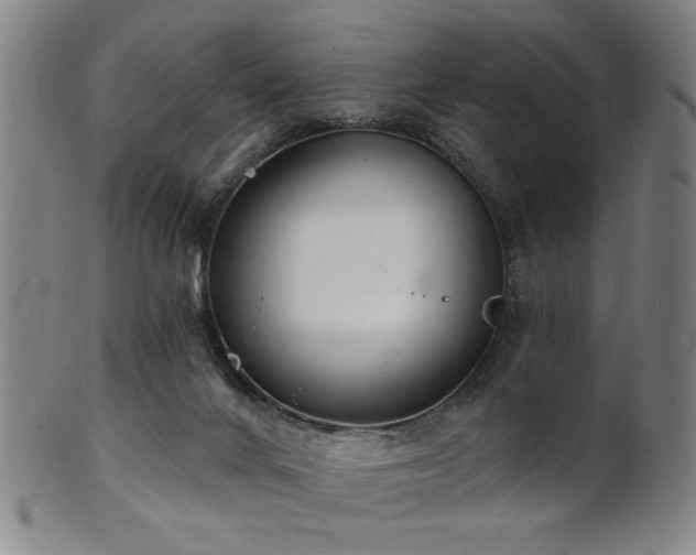 X0000101690024200807101524