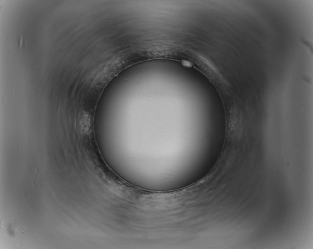 X0000101690025200807101524