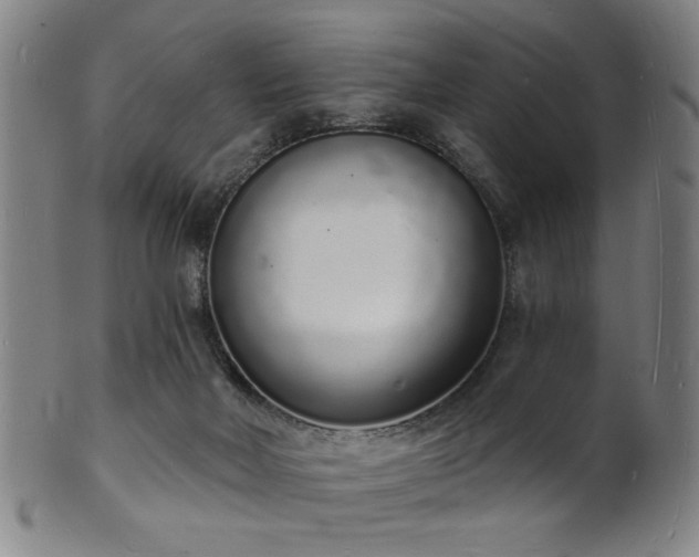 X0000101690026200807101524