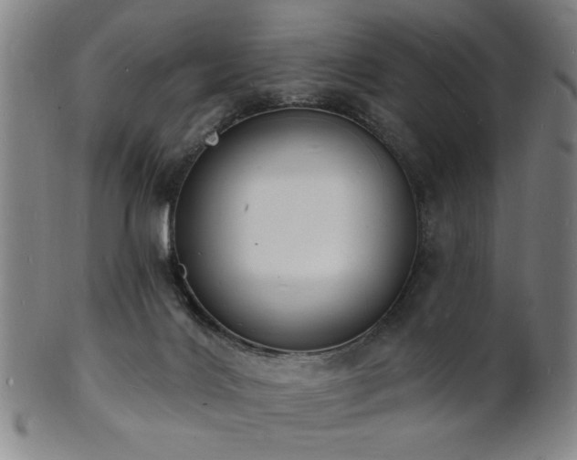 X0000101690028200807101524