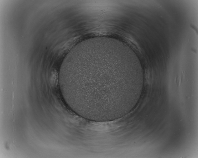 X0000101690029200807101524