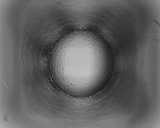 X0000101690030200807101523