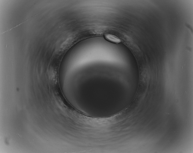 X0000101690031200807101523