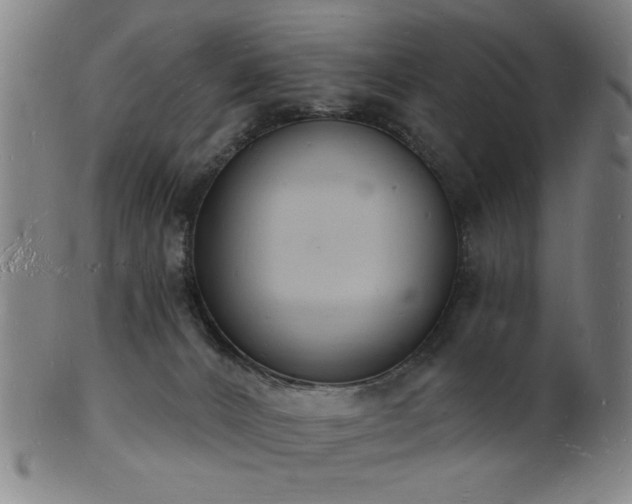 X0000101690032200807101523