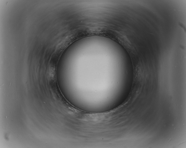 X0000101690033200807101523