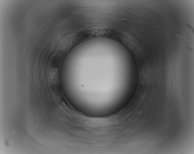 X0000101690034200807101523