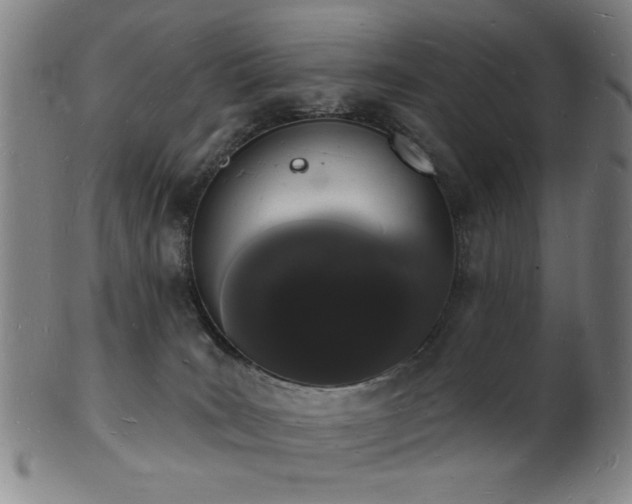 X0000101690035200807101523