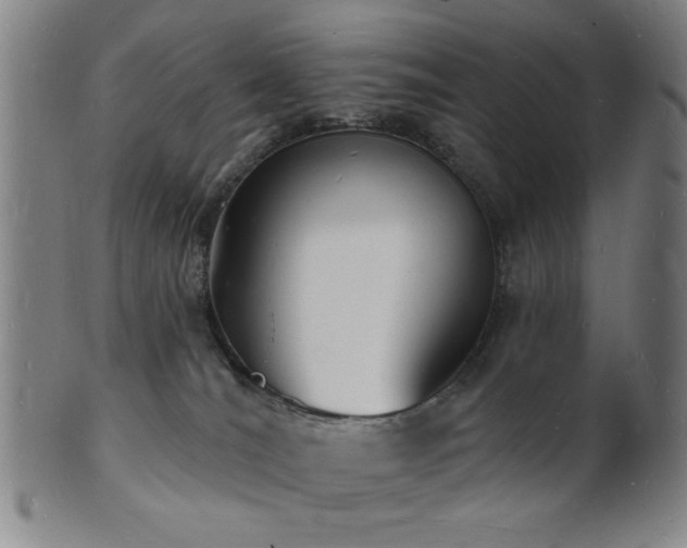 X0000101690036200807101523