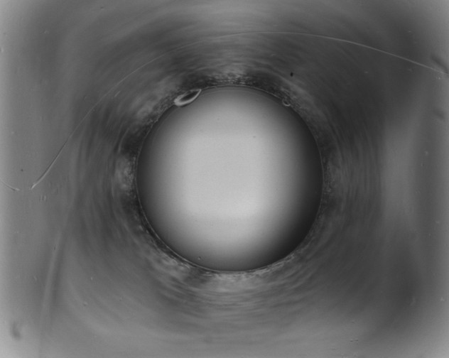 X0000101690037200807101523