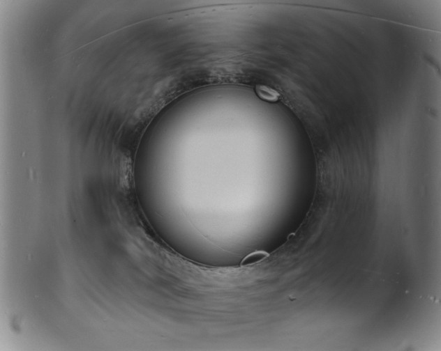 X0000101690038200807101523